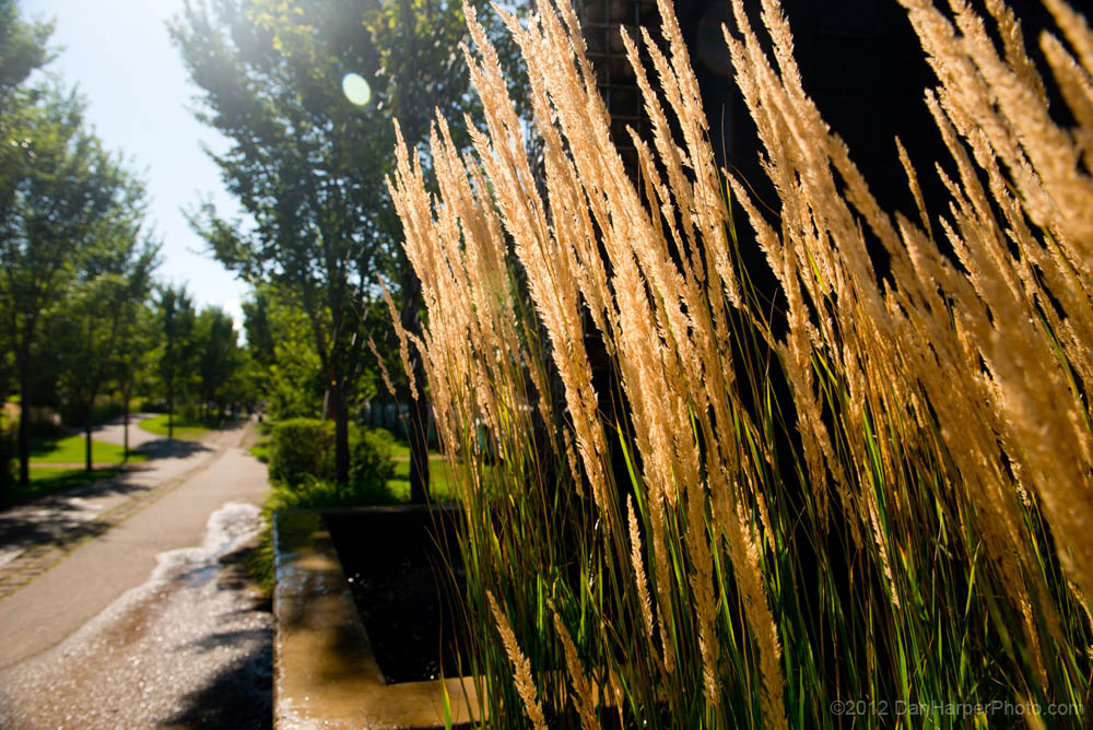 Broadway_Promenade_a#1134B6